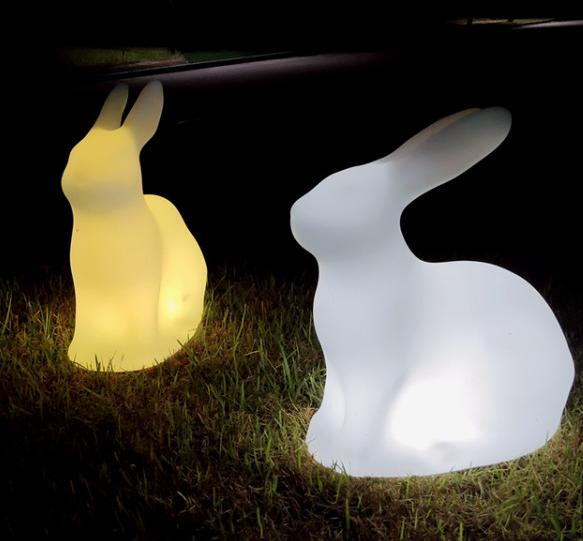 Rabbit